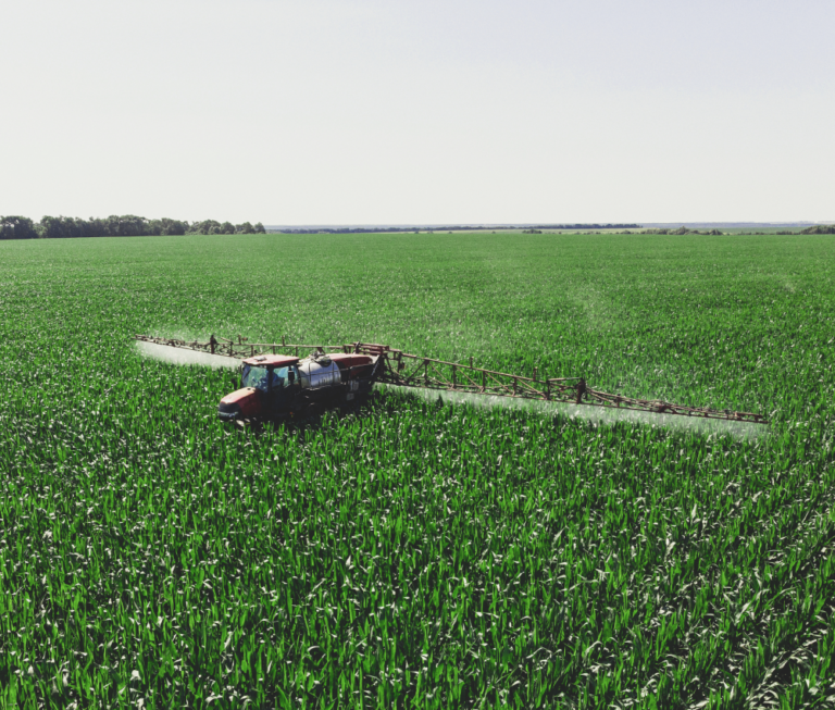 Implementing machine learning in the agricultural sector for weed elimination and selective plant feeding