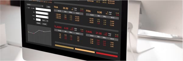 Software di trading azionario personalizzato