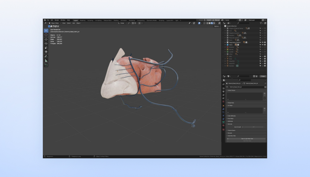 Interactive 3D anatomical model supported by printed prototype for a medical device manufacturer..