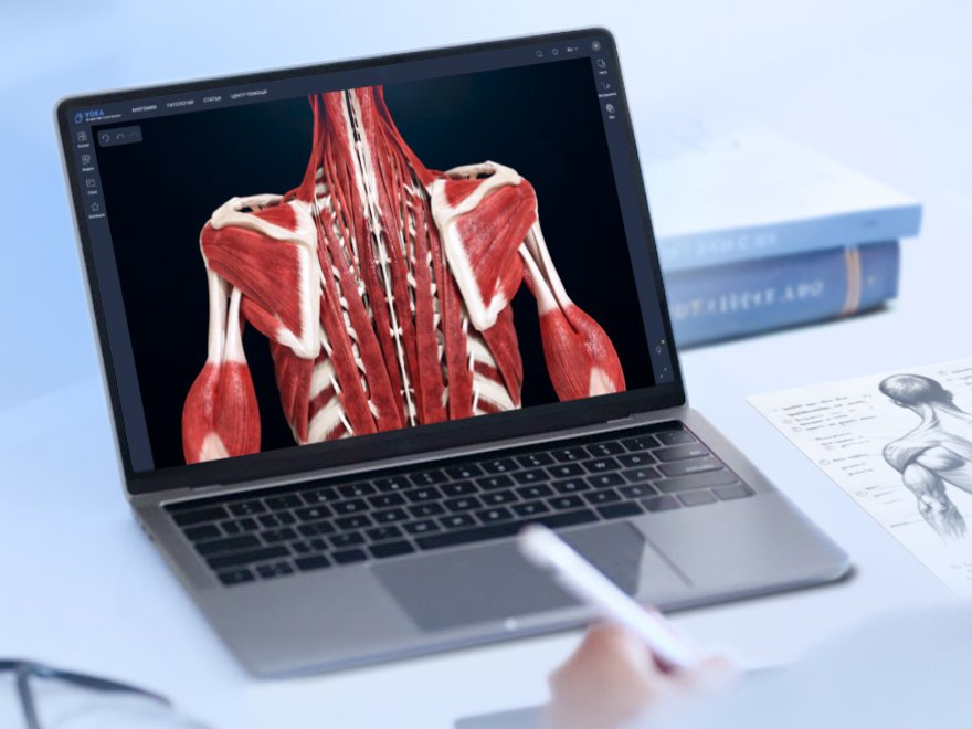 How we transform medicine with VOKA.