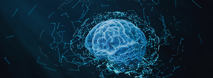 Neural network development
