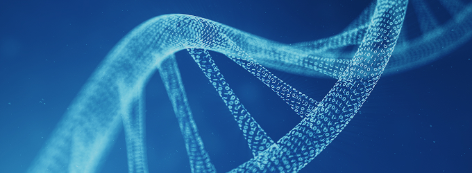 Logiciel d'analyse de l'ADN