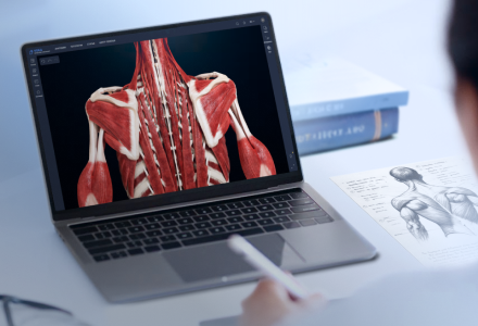 VOKA 3D Anatomy & Pathology