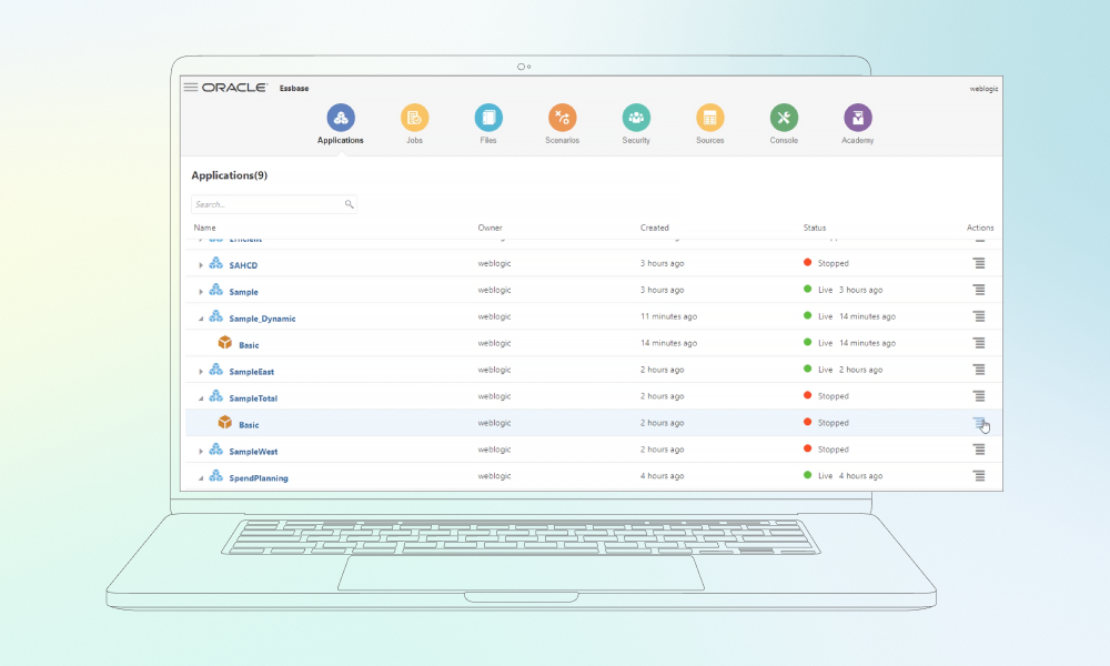 Oracle Essbase featuring application controls and system navigation icons.