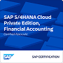 4HANA Cloud Private Edition, Financial Accounting