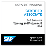 4HANA Sourcing and Procurement
