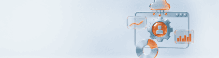 ERP development expertise.