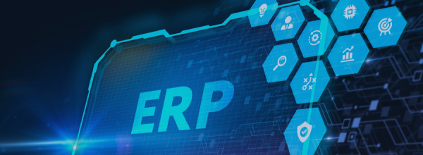 IT specialists configure enterprise resource planning modules, linking finance, HR, and supply chain.